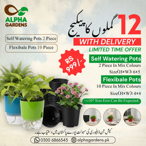 Decorate Your Room Deal