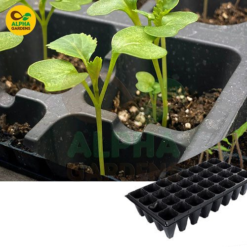 seedling-tray-with-young-plants-and-alpha-gardens-logo