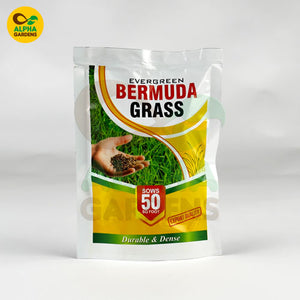 Bag of Evergreen Bermuda Grass seed with Alpha Gardens logo on a white background