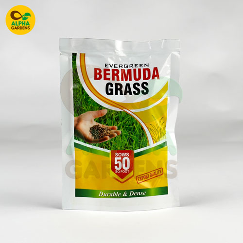 bag-of-evergreen-bermuda-grass-seed-with-alpha-gardens-logo-on-a-white-background