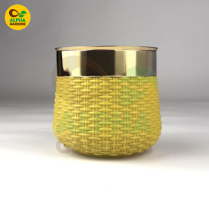 China Plastic Planter Pot yellow