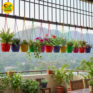 Colorful hanging planters on a balcony 