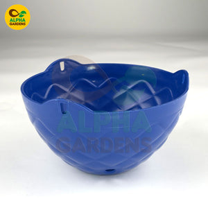 Blue Diamond hanging basket 