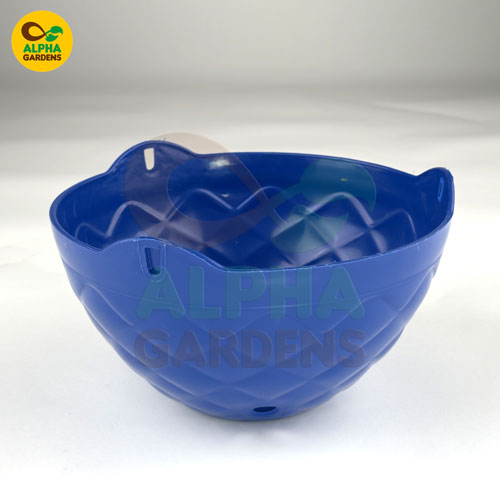 blue-diamond-hanging-basket