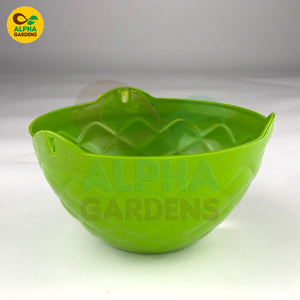 Green Diamond hanging basket 