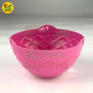 Pink Diamond hanging basket 