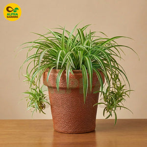 Fiber Planter Pot Brown for Indoor Plants