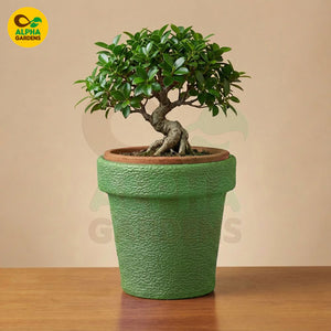 Fiber Planter Pot Green for Indoor Plants