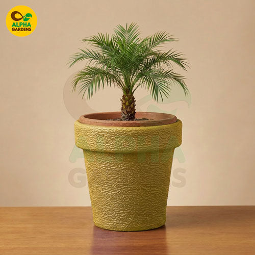 fiber-planter-pot-yellow-for-indoor-plants