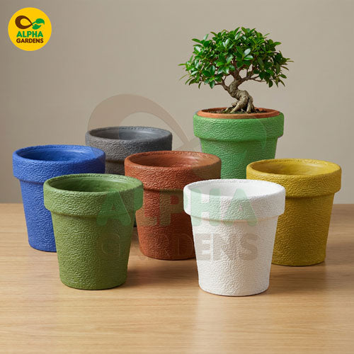 set-of-colorful-flower-pots-with-a-small-tree-on-a-wooden-surface-featuring-alpha-gardens-logo