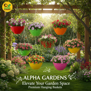 colorful hanging flower baskets 