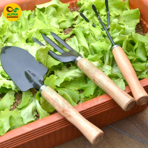 Gardening tools 