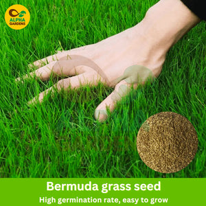Hand touching grass with a close-up of bermuda grass seed, branded 'Alpha Gardens'.