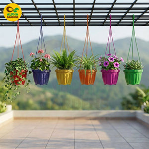 Hanging Pot HPS1 colorful