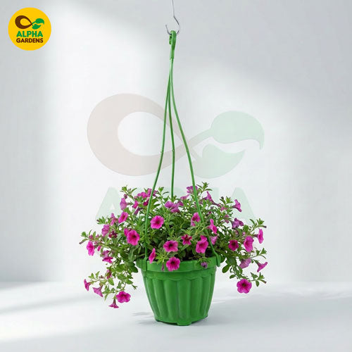 hanging-pot-hps1-green