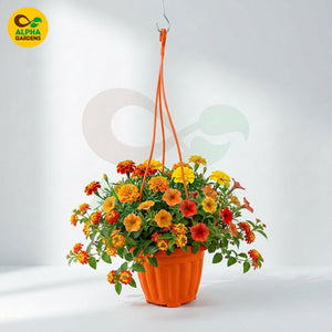 Hanging Pot HPS1 orange 