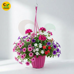 Hanging Pot HPS1 pink