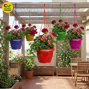 Colorful hanging flower pots Hps2