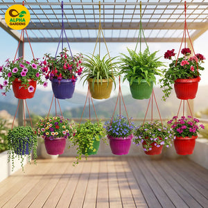Hanging plants in colorful pots Hps2