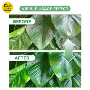 Comparison of a plant before and after using Alpha Gardens product, with visible usage effect.