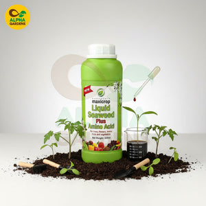 Maxicrop Liquid Seaweed Plus Amino Acid bottle with plants and soil on a white background