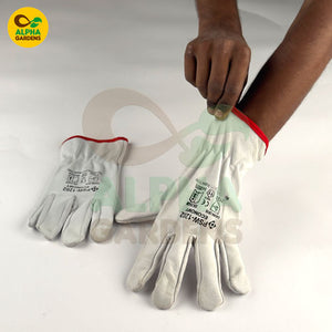 Pair of gardening gloves 