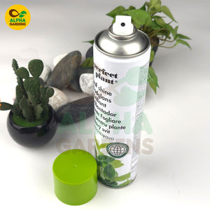 Spray can labeled 'Perfect Plant' with a cactus and plant pot 