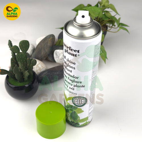 spray-can-labeled-perfect-plant-with-a-cactus-and-plant-pot