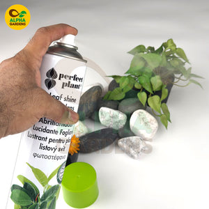 Hand holding a spray can labeled 'Perfect Plant' with plants and stones 