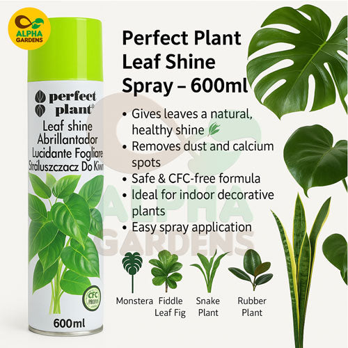 perfect-plant-leaf-shine-spray-with-product-details-and-plant