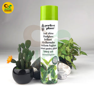 Plant care product with plants and decorative stones 