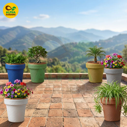 potted-plants-on-a-patio-with-a-scenic-mountain-view-featuring-the-alpha-gardens-logo
