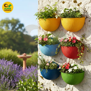 Colorful wall-mounted planters 
