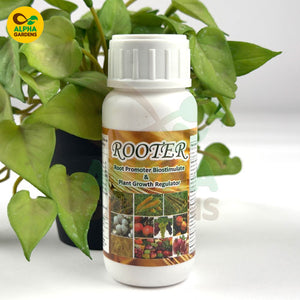 Bottle of 'Rooter' plant growth regulator with a plant in the background