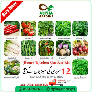 Kitchen Gardening Seed Deal
