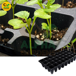 Seedlings in a black plastic tray with Alpha Gardens branding.
