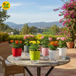 Self Watering Plant Pot 