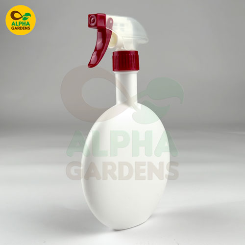 premium-beginners-deal