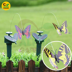Solar butterfly garden ornaments on a grassy background