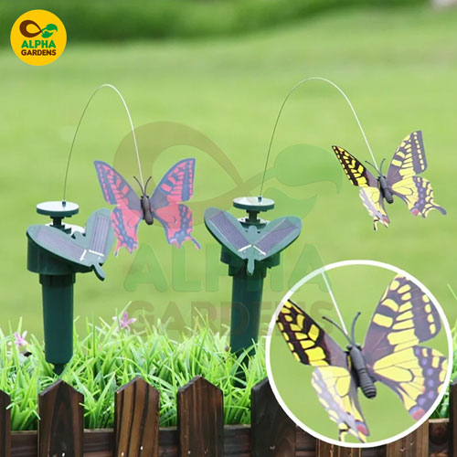 solar-butterfly-garden-ornaments-on-a-grassy-background