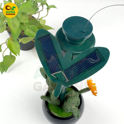 solar-powered-plant-waterer-with-solar-panels-on-a-white