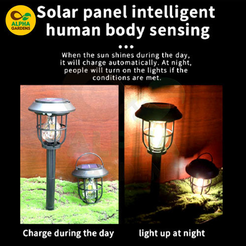 solar-panel-intelligent-human-body-sensing-lights-charging-during-the-day-and-lighting-up-at-night