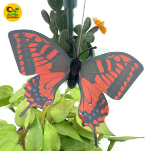 Butterfly decoration on a plant 