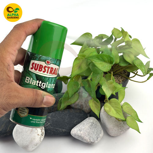 hand-holding-a-bottle-of-substral-plant-food-near-potted-plants-on-a-white-background