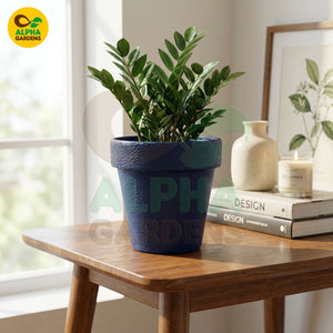 Textured Premium Plastic Planter Pot Blue for Indoor Plants