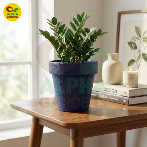 textured-premium-plastic-planter-pot-blue-for-indoor-plants