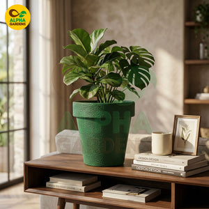 Textured Premium Plastic Planter Pot Dark Green for Indoor Plants