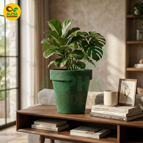 textured-premium-plastic-planter-pot-dark-green-for-indoor-plants