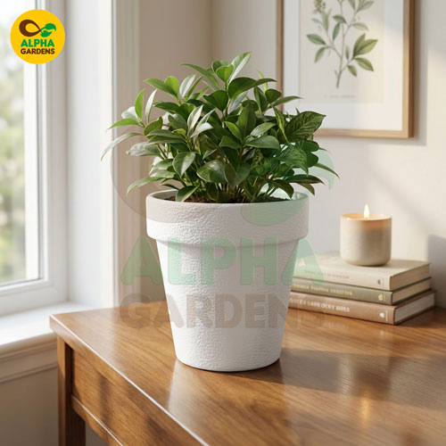 textured-premium-plastic-planter-pot-white-for-indoor-plants