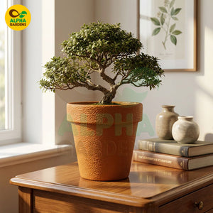 Textured Premium Plastic Planter Pot brown for Indoor Plants